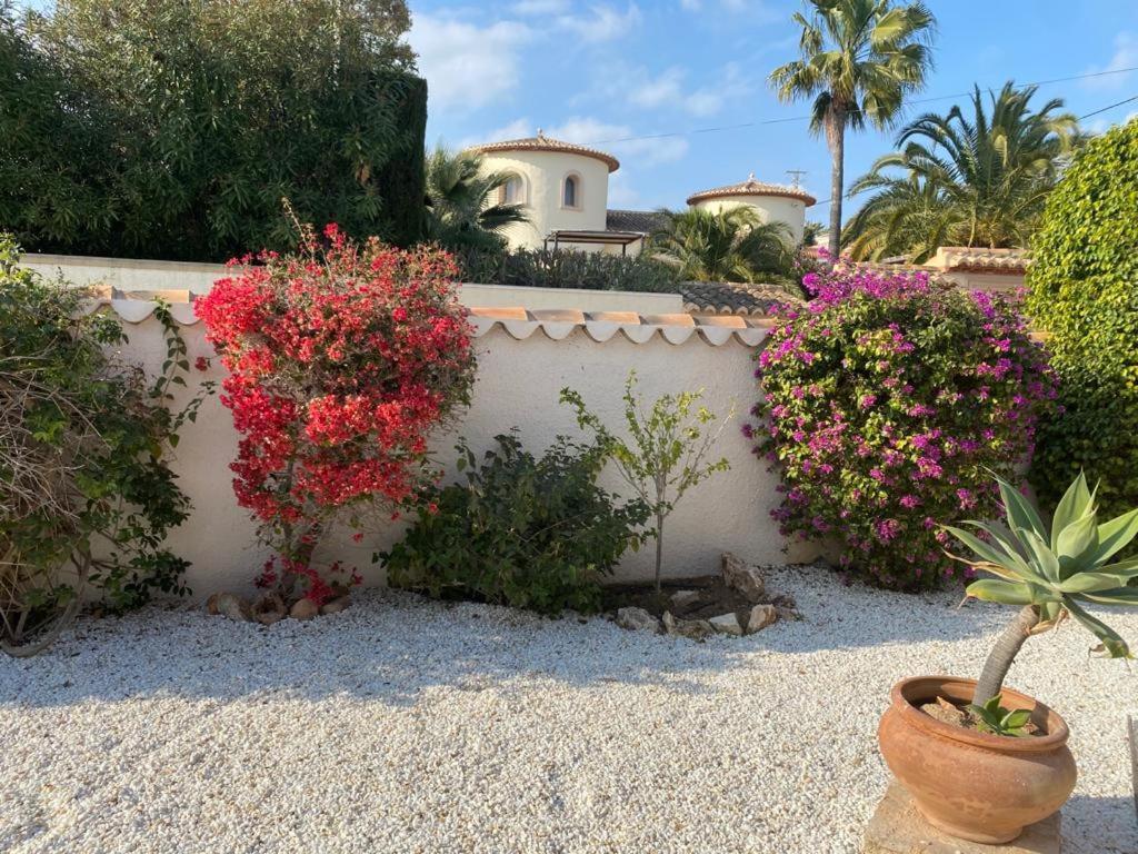 The Best Holiday Villa Calp Exterior foto